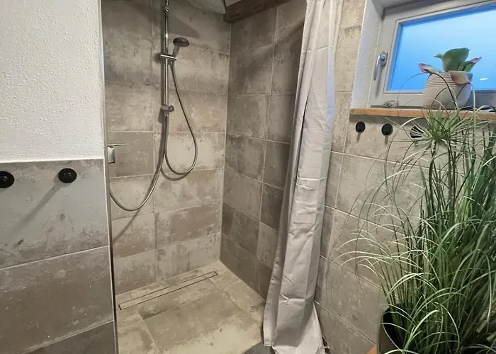 Urzeit 1621 - Deine Charmante Zeitreise